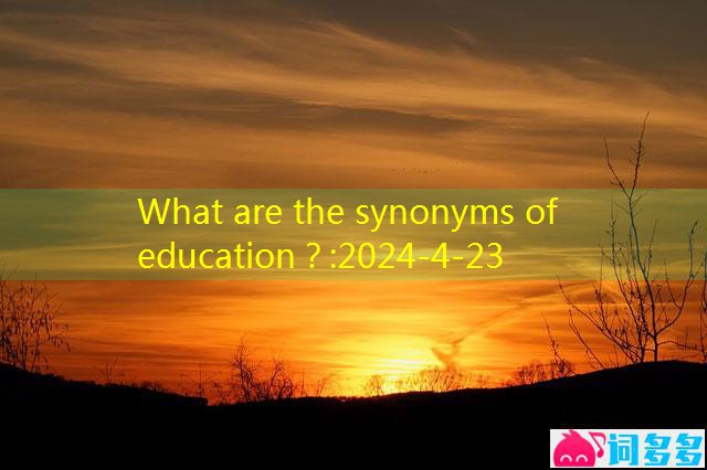 What are the synonyms of education？