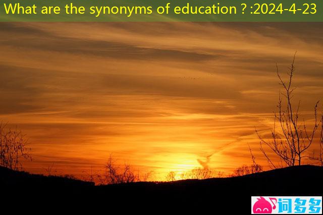 What are the synonyms of education?